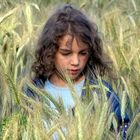 ein Mädchen im Weizenfeld