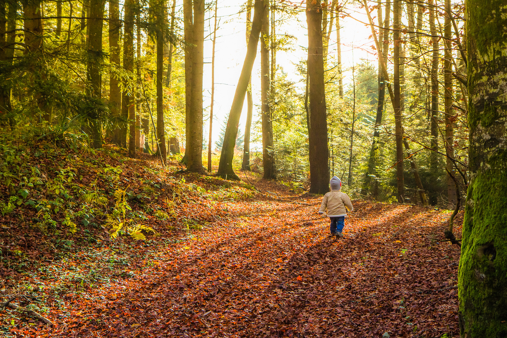 Ein Männlein geht im Walde