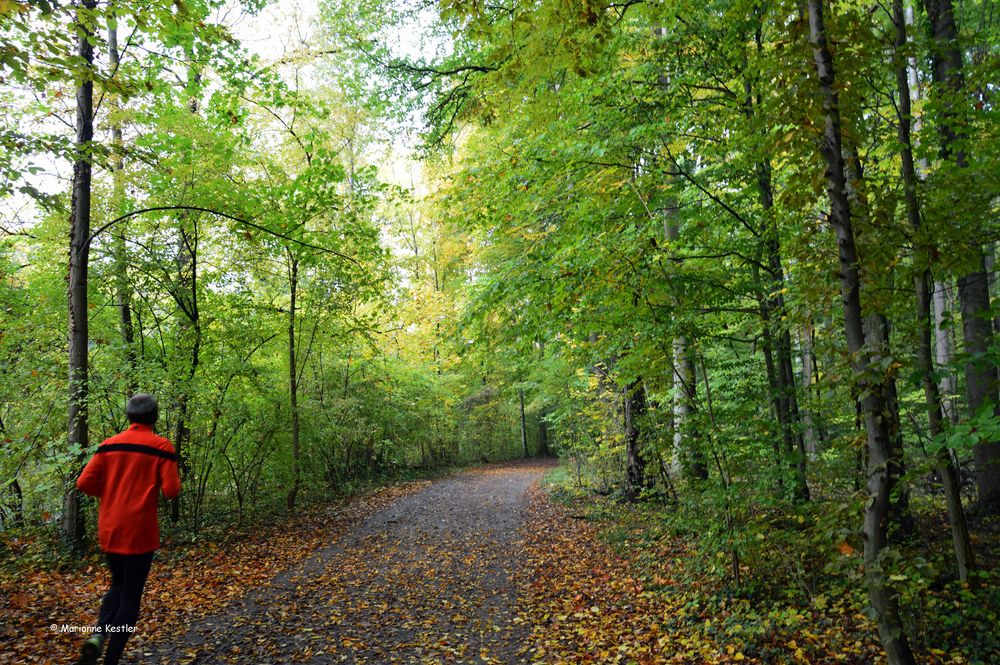 Ein Männlein rennt im Walde