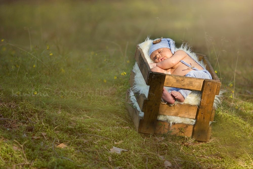 Ein Männlein schlief im Walde...