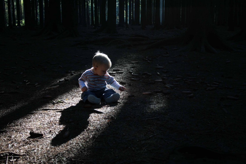 Ein Männlein sitzt im Walde...