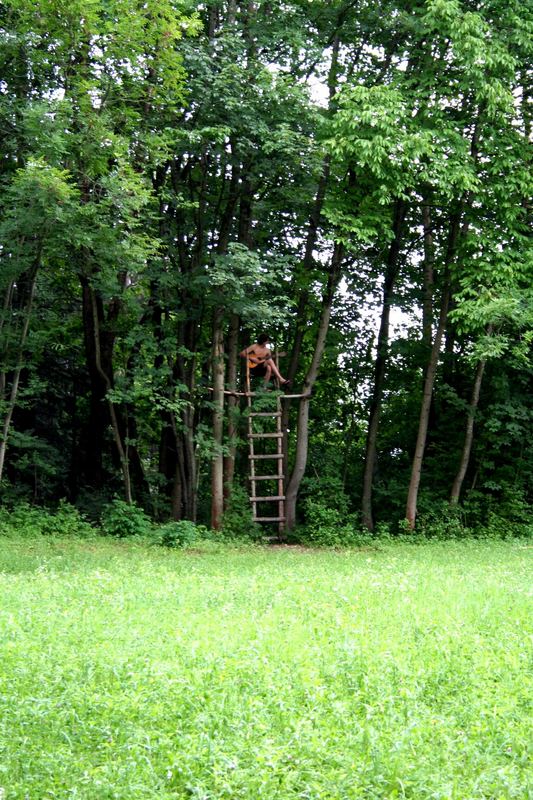 ein männlein sitzt im walde