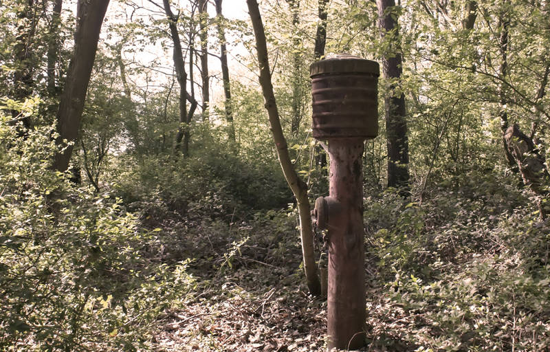 ein männlein steht....