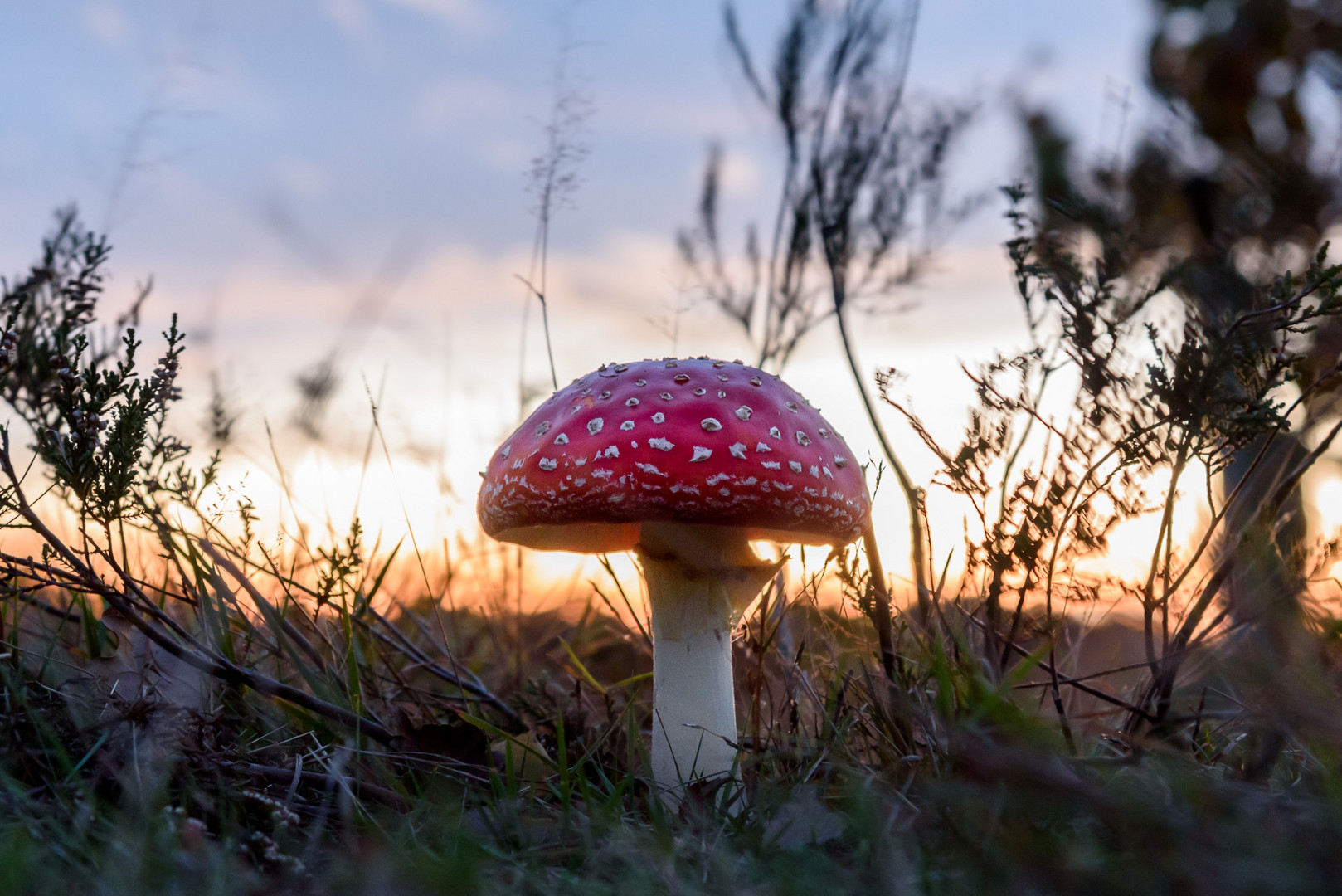 Ein Männlein steht am Wegesrand