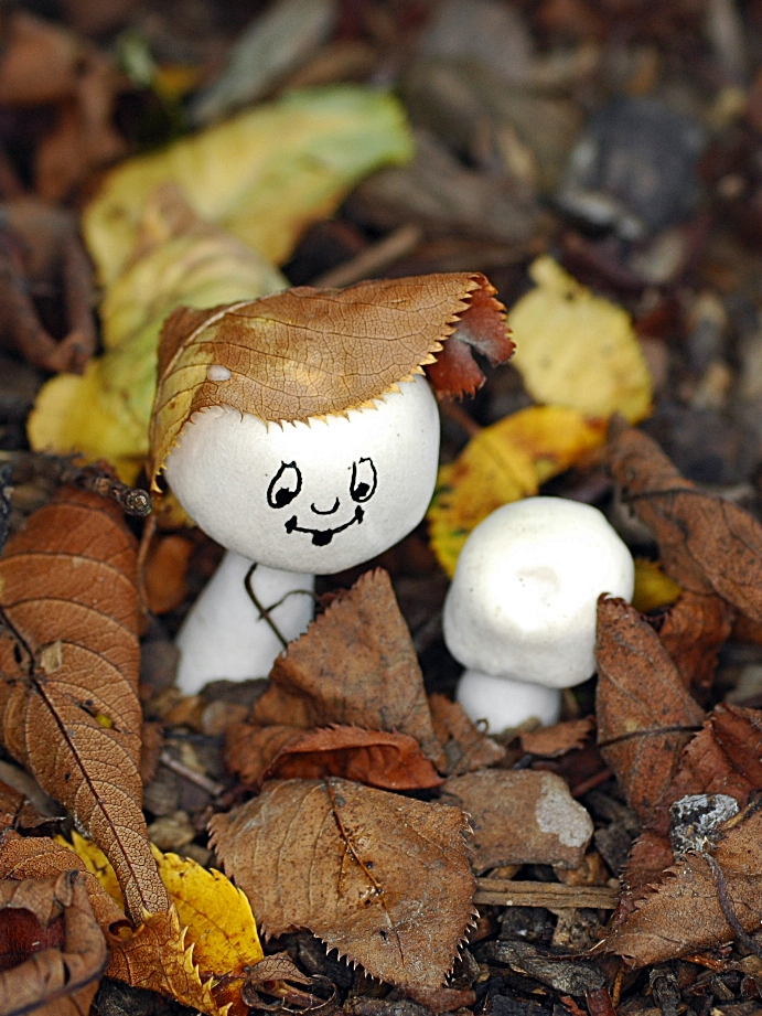 Ein Männlein steht im Garten.....