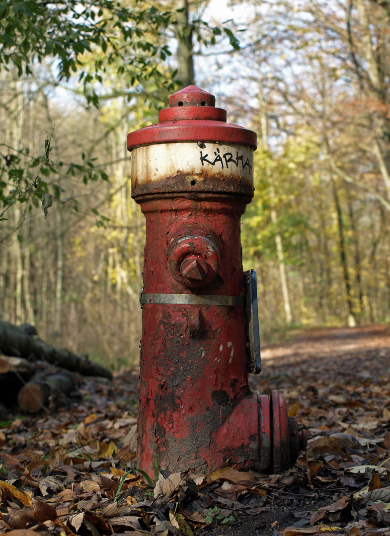 ...ein Maennlein steht im Walde..