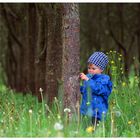 ein Männlein steht im Walde...