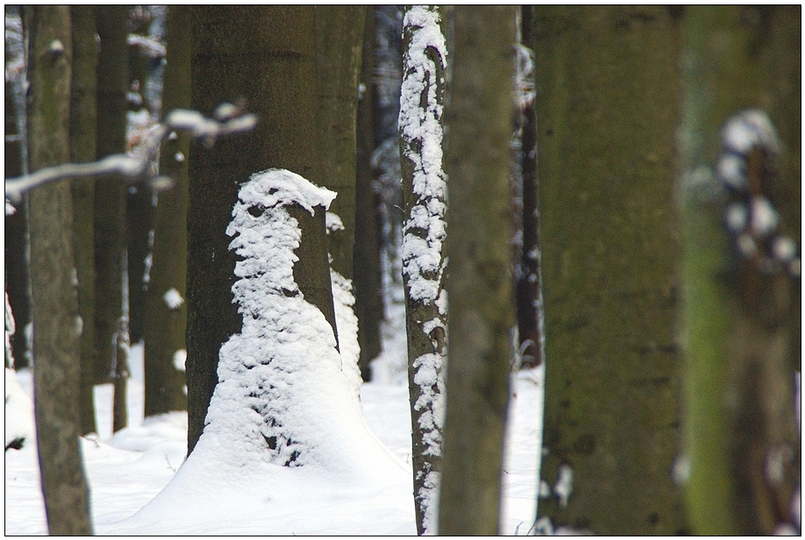 Ein Männlein steht im Walde ....