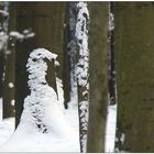 Ein Männlein steht im Walde ....