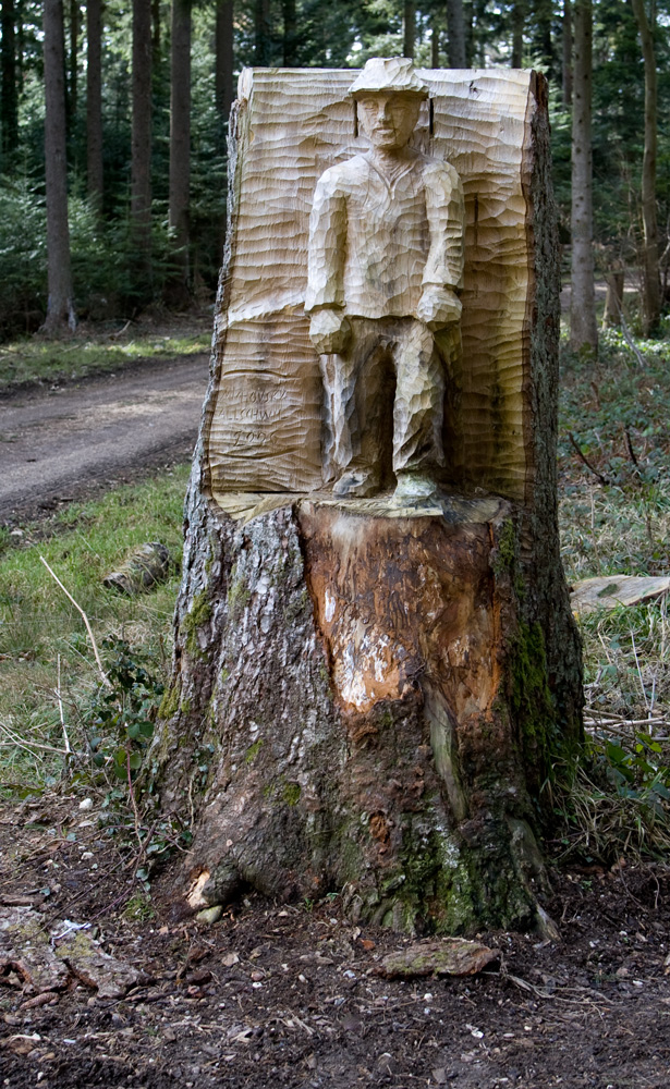 Ein Männlein steht im Walde