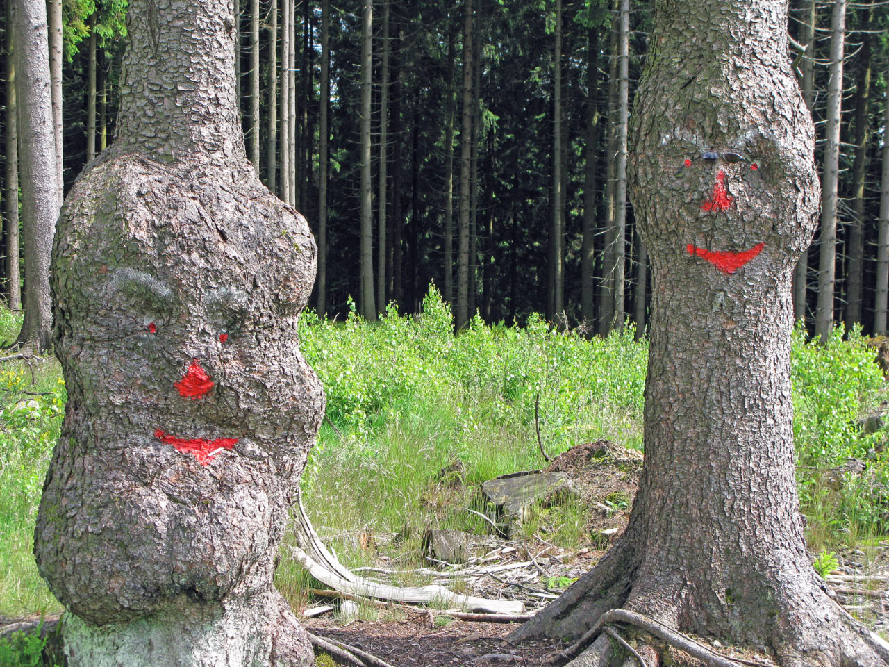 Ein Männlein steht im Walde.........