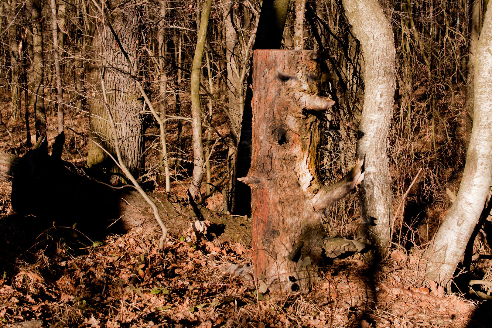 ein männlein steht im walde