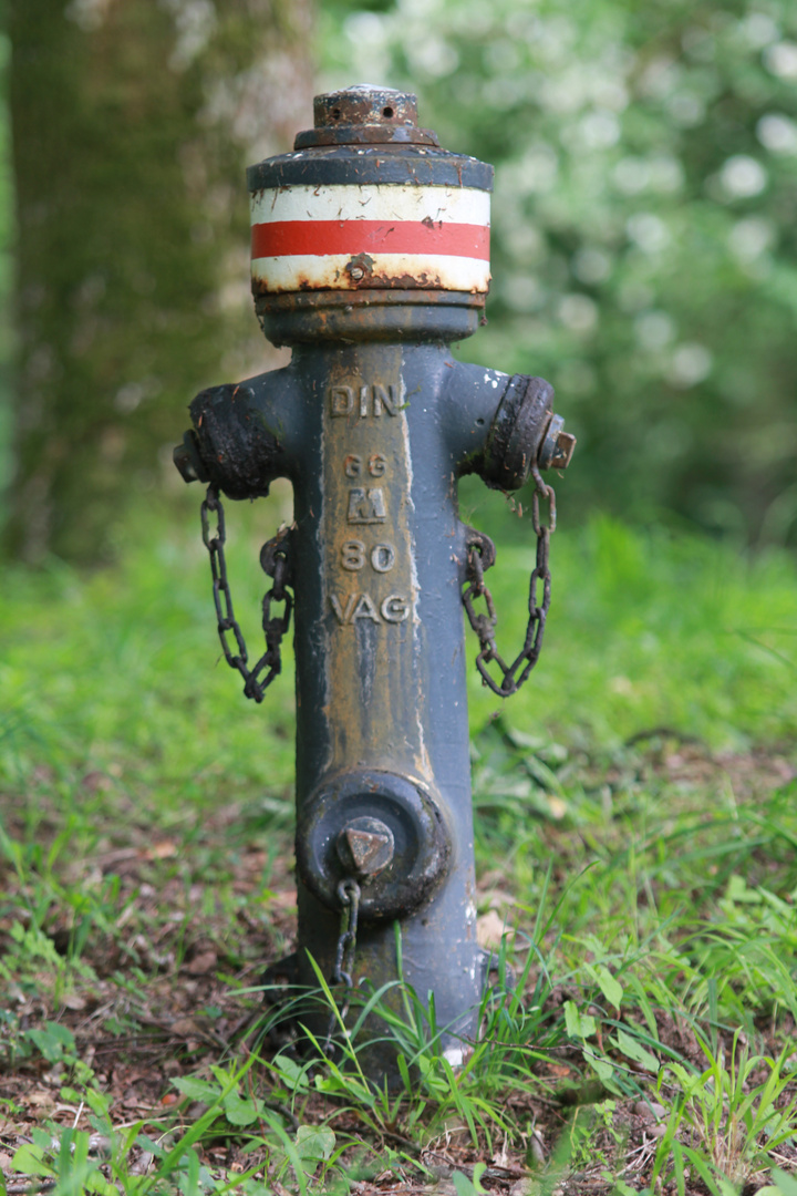 ein Männlein steht im Walde