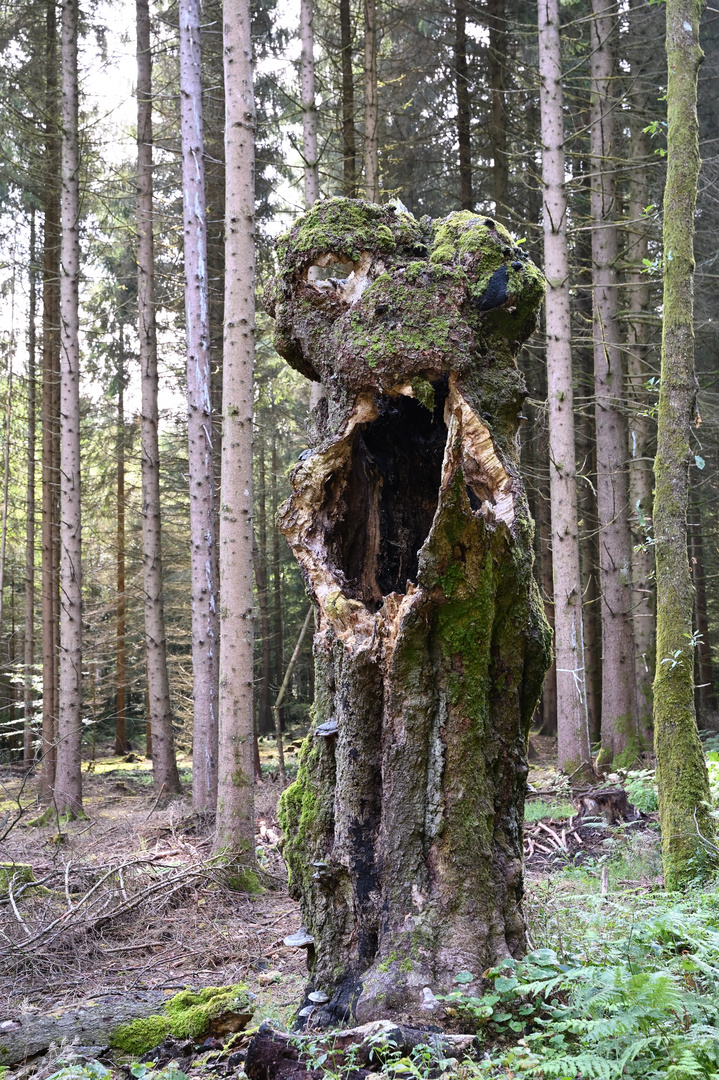 Ein Männlein steht im Walde