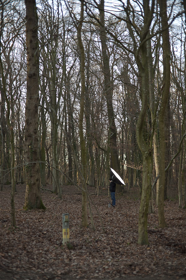 Ein Männlein steht im Walde...