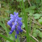 ein Männlein steht im Walde