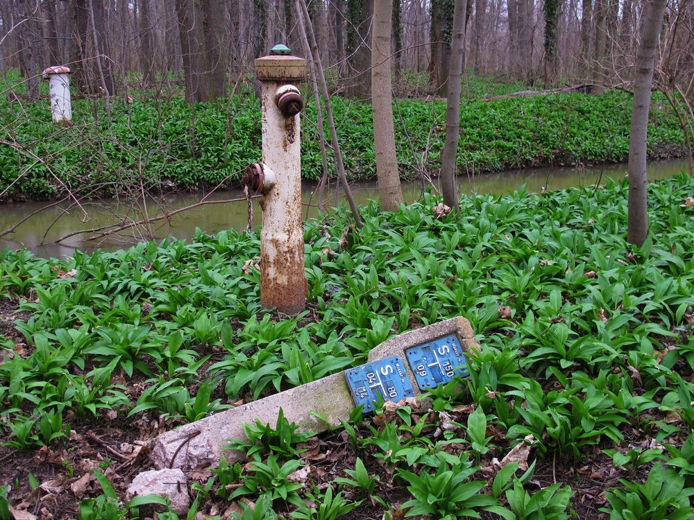 Ein Männlein steht im Walde