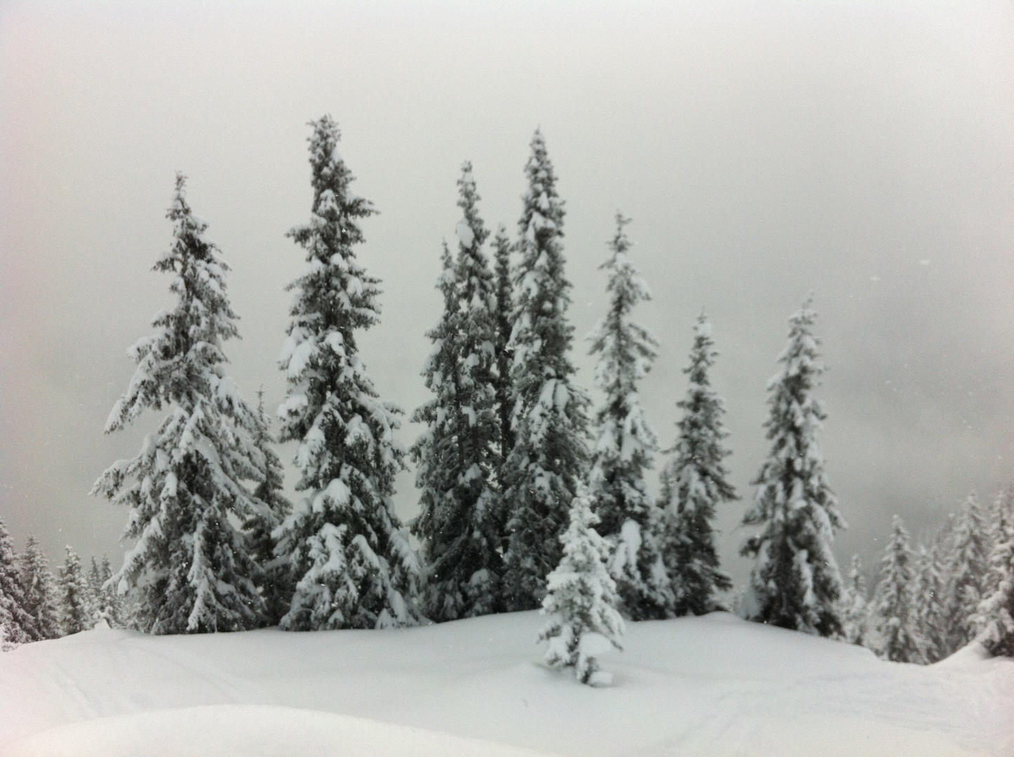 Ein Männlein steht im Walde ..... ganz Schnee und stumm