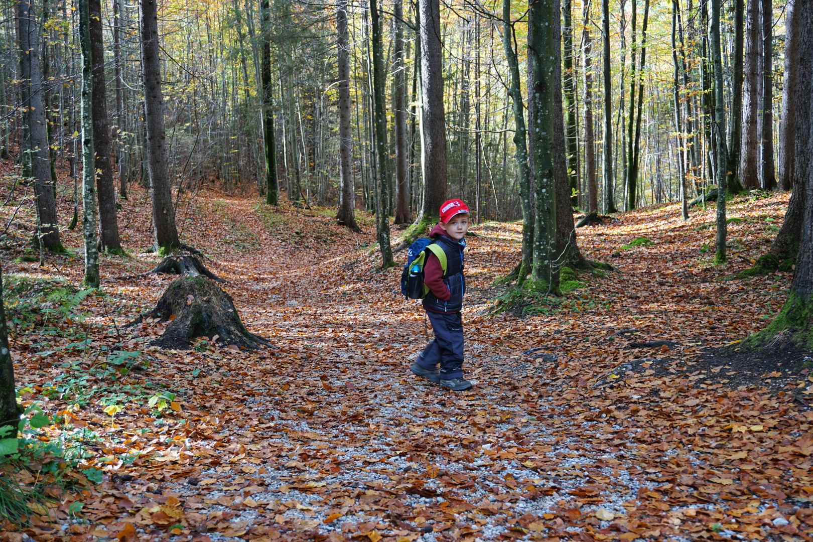 Ein Männlein steht im Walde, oder Herbst im Karwendel