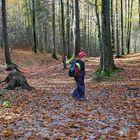 Ein Männlein steht im Walde, oder Herbst im Karwendel