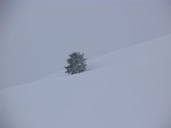 Ein Maennlein steht.....nicht im Walde, aber allein