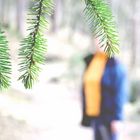 ein Männlein (Weiblein) steht im Walde