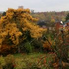 Ein Märchen im November ... .