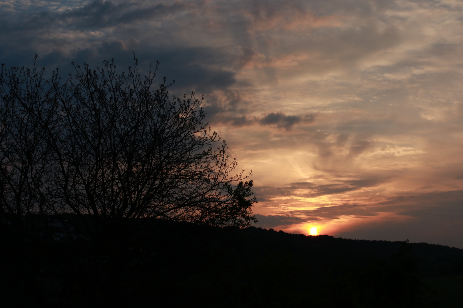 Ein Mai-Morgen im Untertaunus