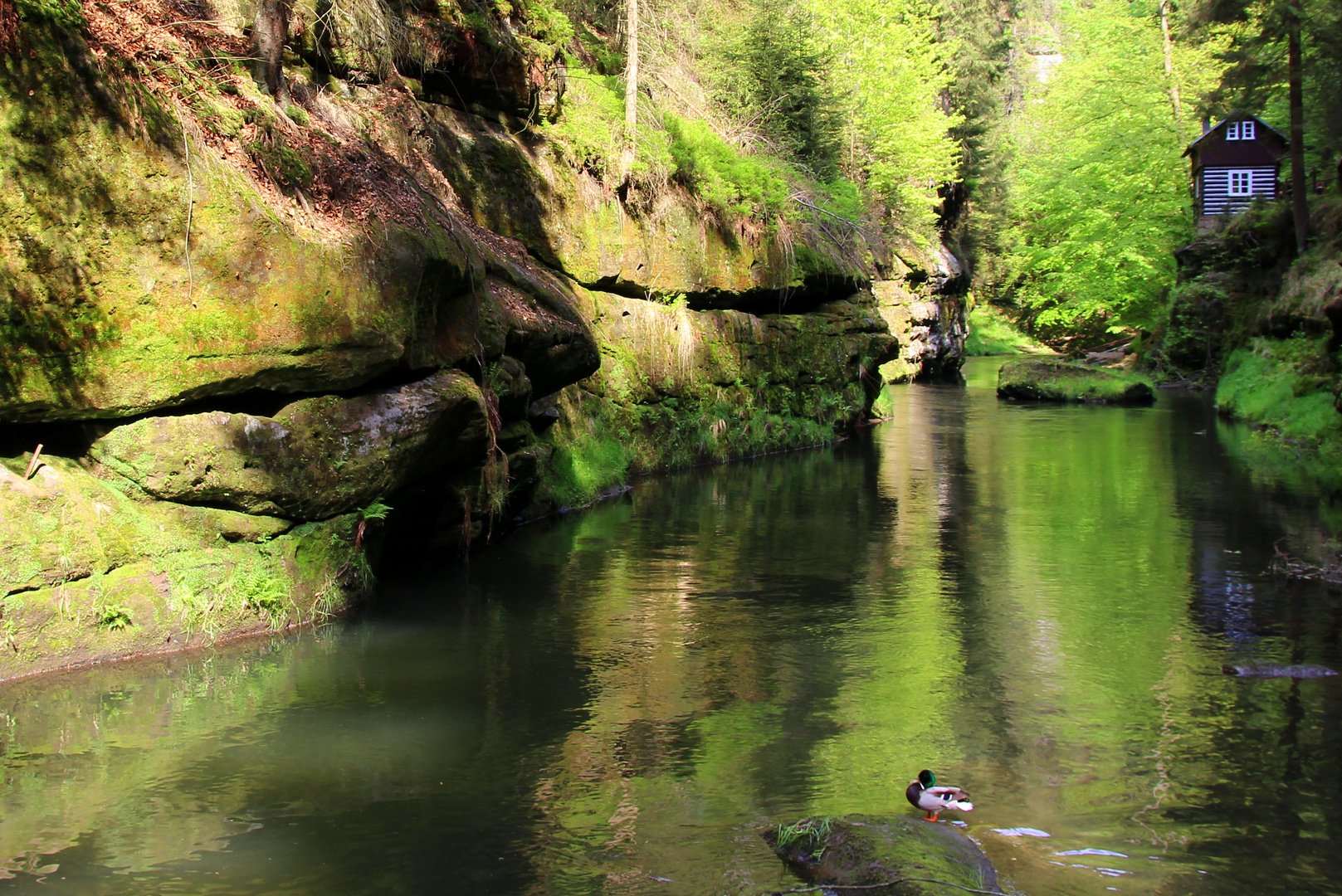 Ein Mainachmittag in der Edmundsklamm