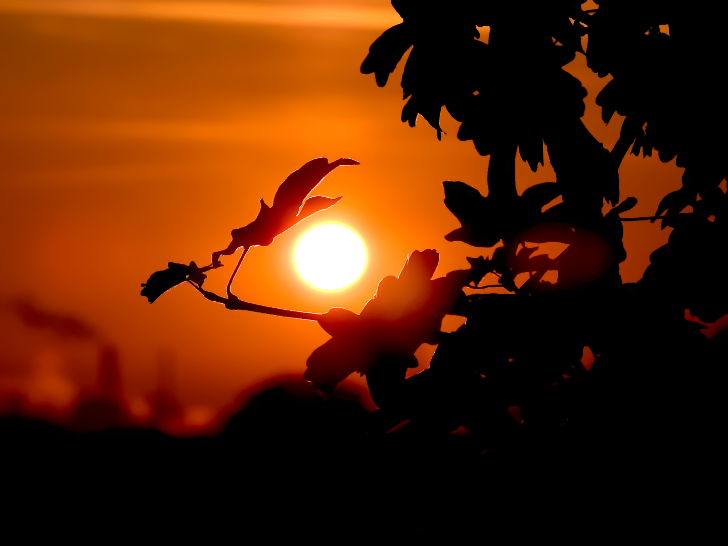 EIN MAJESTÄTISCHER SONNENAUFGANG.