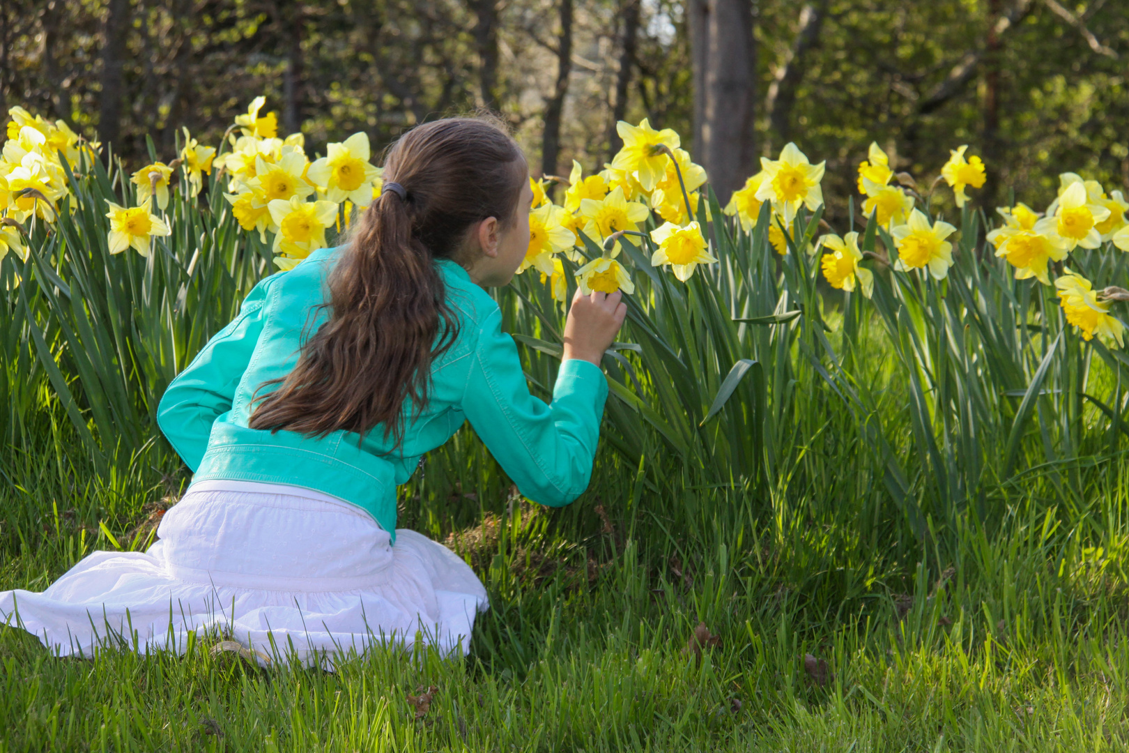 Ein mal Frühling riehen bitte!!!