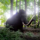 ein Mammut in einem Waldstück bei Rostock