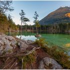 Ein-Mann-Insel im Hintersee