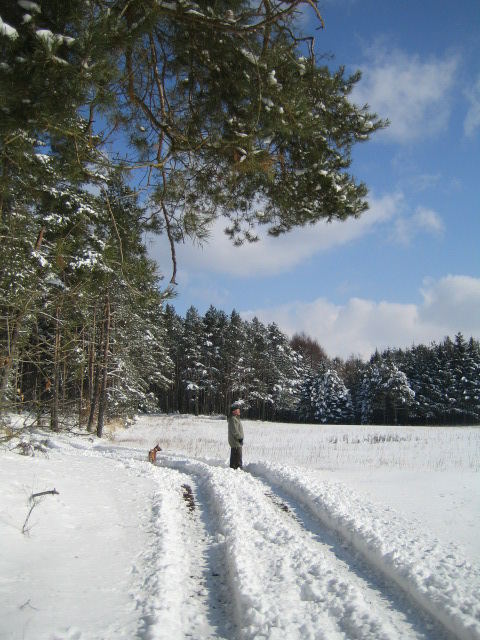 Ein Mann, sein Hund und die Sonne...