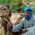 Ein Mann und sein Kamel