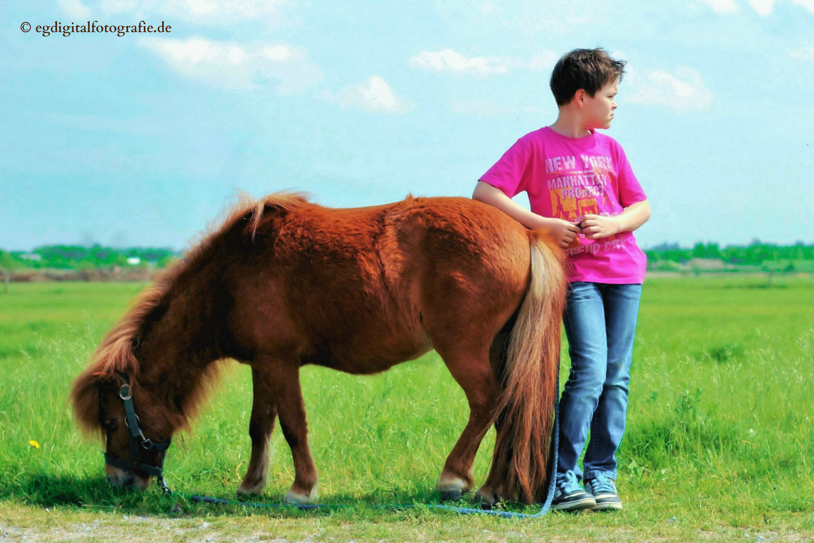 »Ein Mann und sein Pferd«