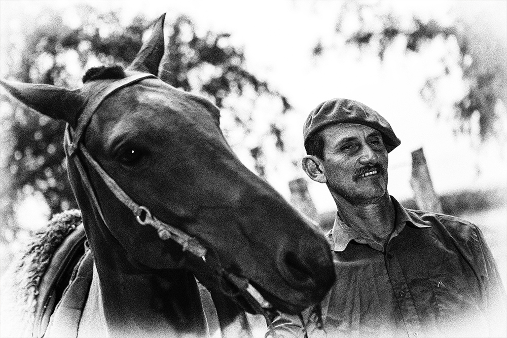 Ein Mann und sein Pferd