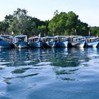 Ein Mann, viele Boote und das Meer