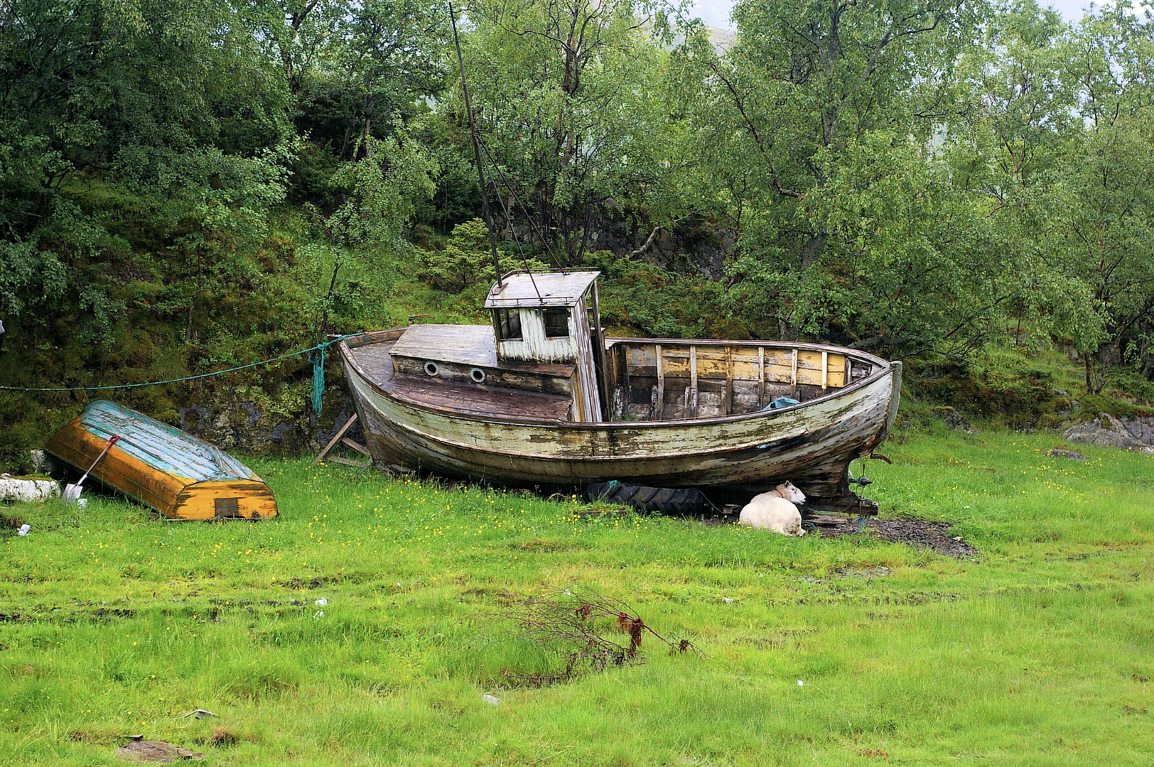 ein marodes Boot als Regenschutz