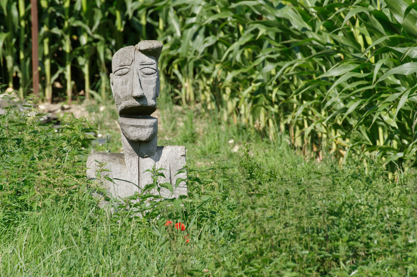 Ein Maya in Aachen?