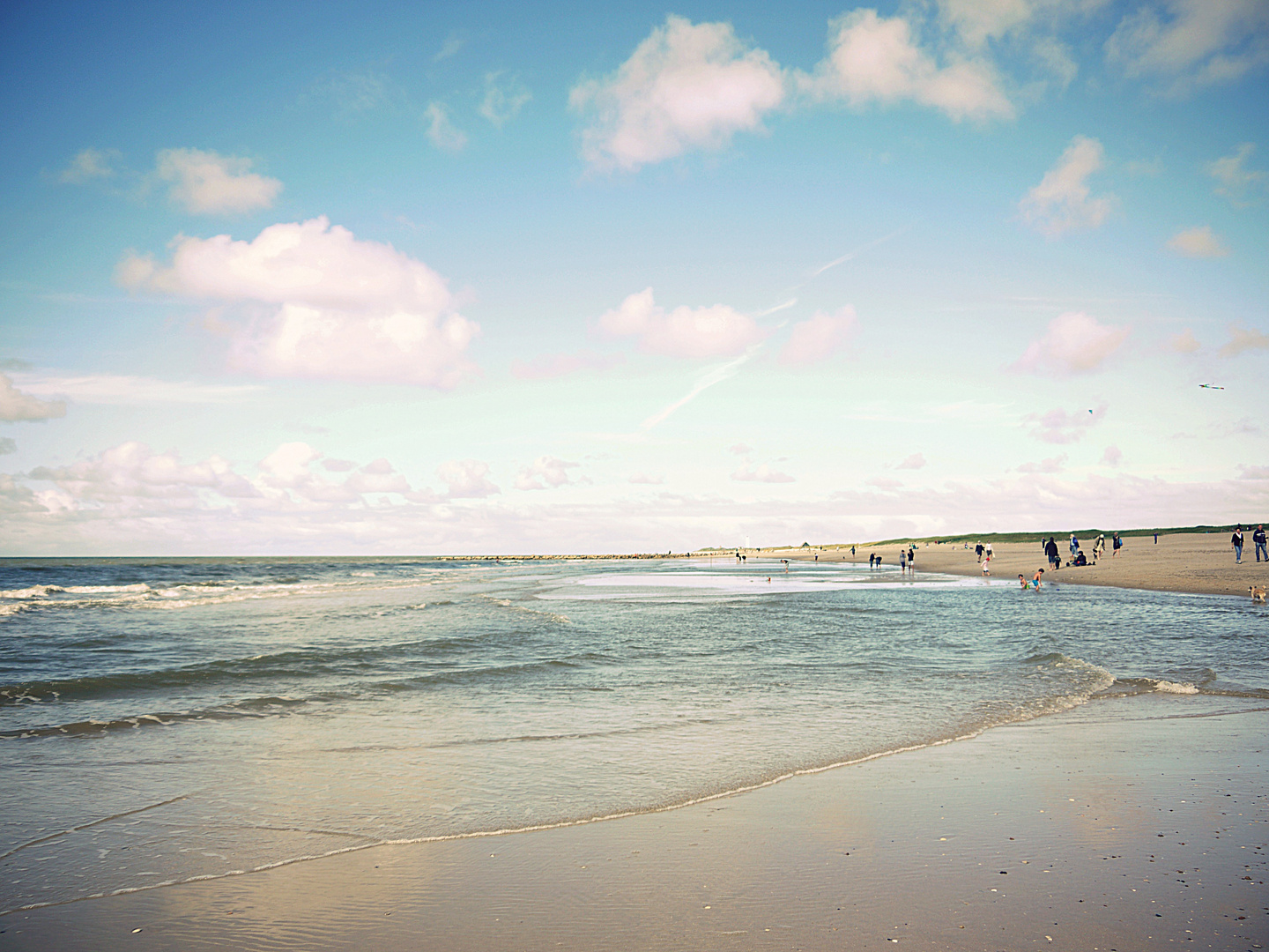 Ein Meer hört immer irgendwo auf aber da fängt es auch wieder an. (Anke Maggauer-Kirsche)