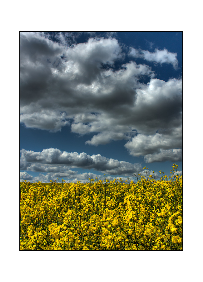 Ein Meer von Farben