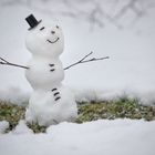 Ein Mini-Schneemann 