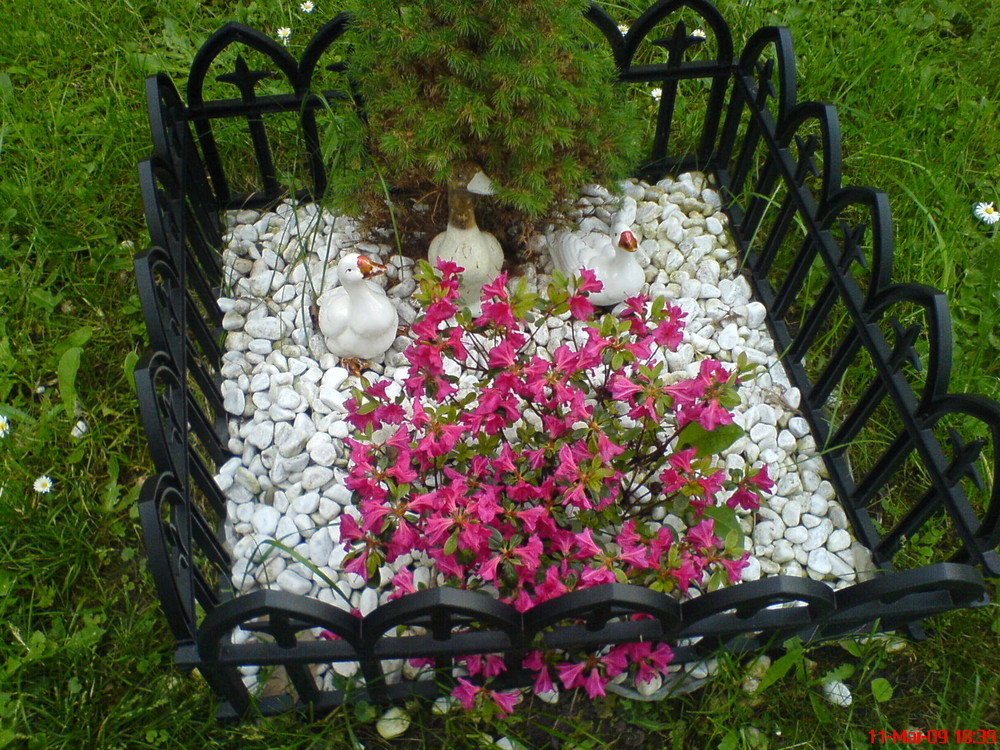 Ein Minigarten Foto & Bild | archiv projekte naturchannel