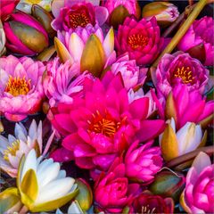 ein mit wasser gefülltes wäscheschaffel..