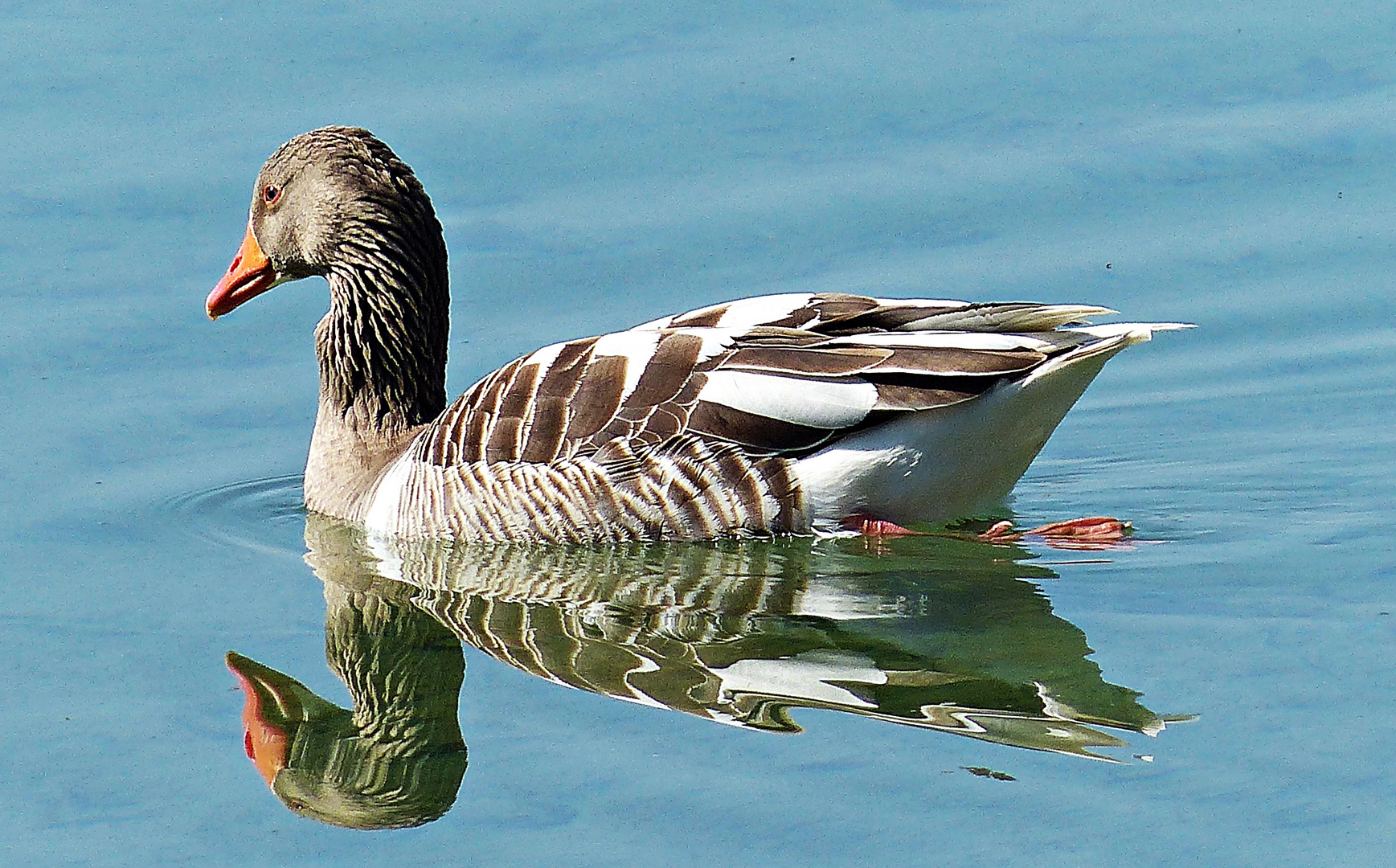 Ein Model auf dem See