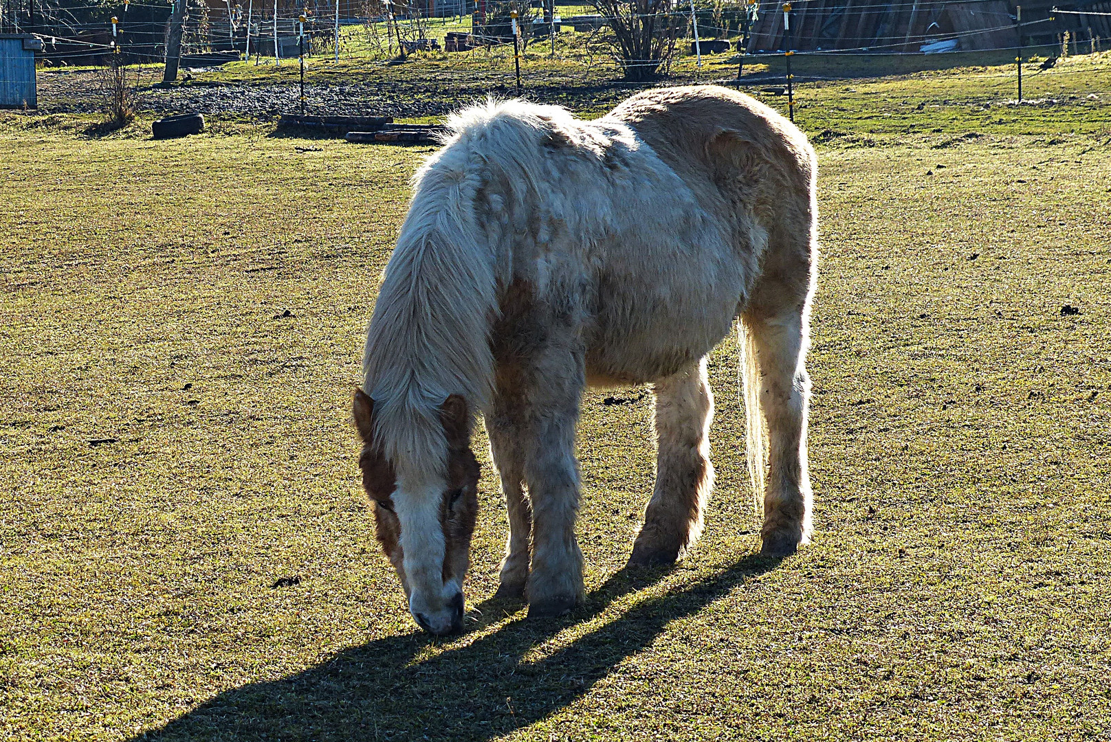 Ein Model im Winterkleid