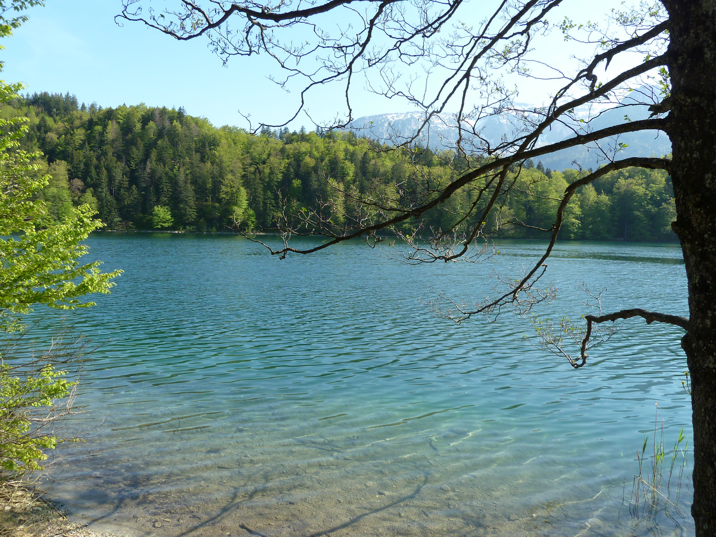 Ein mörderischer See - der Alatsee bei Füssen