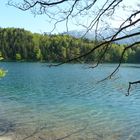 Ein mörderischer See - der Alatsee bei Füssen