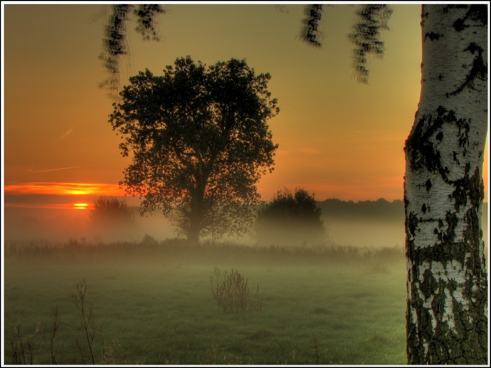 Ein Moment bei Sonnenaufgang